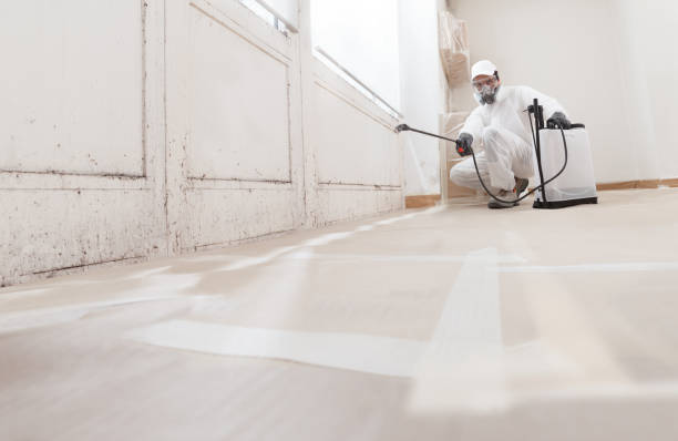 24/7 Emergency Mold Remediation experts in Arlington, MA